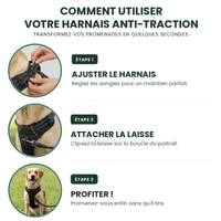 Harnais pour chien Anti-Traction