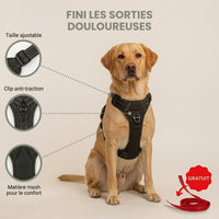 Harnais pour chien Anti-Traction